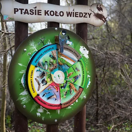 Kraina Bugu - Anielski Dom Z Bezposrednim Zejsciem Do Rzeki דירה *